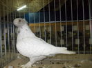 DSCN1457