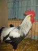 DSCN1563