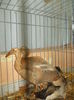 DSCN1568