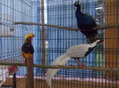 DSCN1571