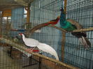 DSCN1573