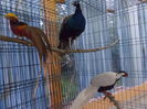 DSCN1574