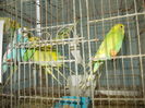 DSCN1575