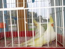 DSCN1579
