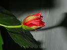 DSCN1680