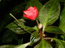DSCN1685