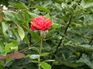 DSCN1687