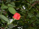 DSCN1688