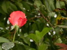 DSCN1689