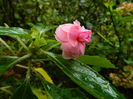 DSCN1695