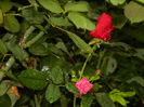 DSCN1703