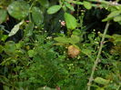 DSCN1705