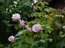 DSCN1706