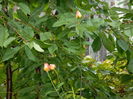 DSCN1708