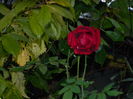 DSCN1709