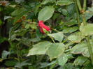 DSCN1710
