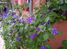 IMG_20151013_082610