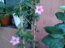 IMG_20151002_130208