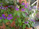 IMG_20151002_130310