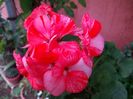 IMG_20151022_124934