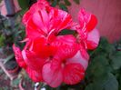 IMG_20151022_124939