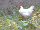 DSCF9322
