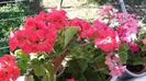 20140612_080445
