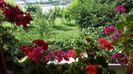 20140629_092506