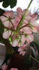 20150404_132839