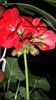 20150418_204322