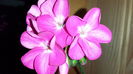 20150418_204443