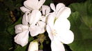 20150418_204511