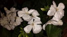 20150418_204549
