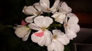 20150418_204912