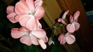 20150418_204954