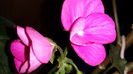 20150418_205016