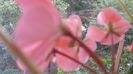 20150509_202714
