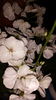 20150512_214242