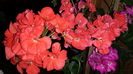 20150512_214256