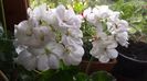 20150515_072039