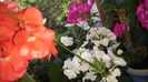 20150515_072204