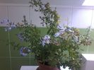 20151023_161232