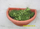 SAM_0371