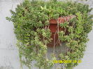 SAM_0372