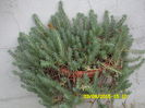 SAM_0373