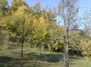 DSC01065