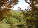 DSC01068