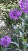 20140520_173758