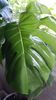 20140521_151526