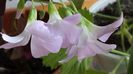 20140521_151657
